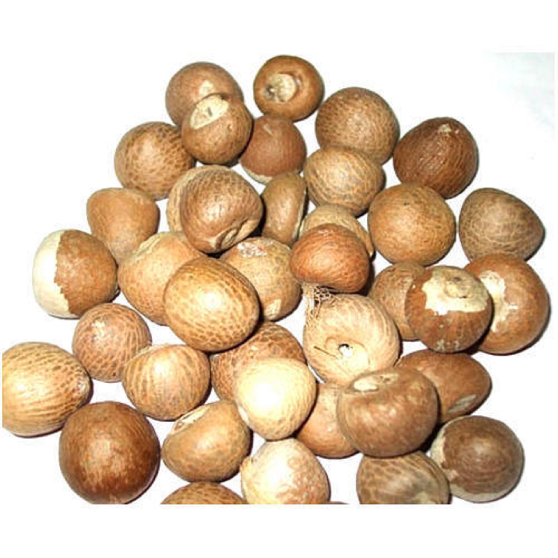 Betel Nuts Top Grade