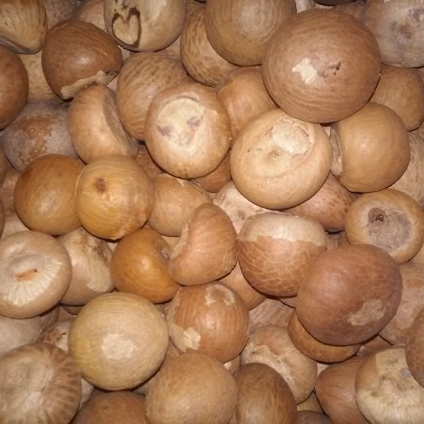 Wholesale Whole and Split Betel Nut for sale