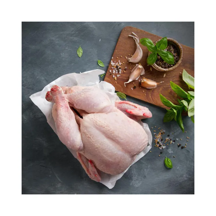 Top quality frozen whole chicken wholesale, poultry meat