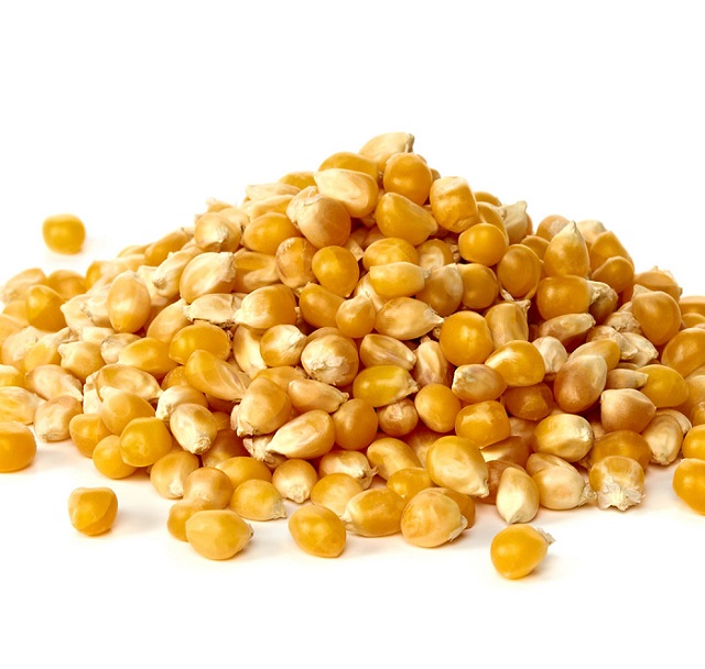 Wholesale Dried Yellow Corn & White Corn / Maize for Human & Animal Feed
