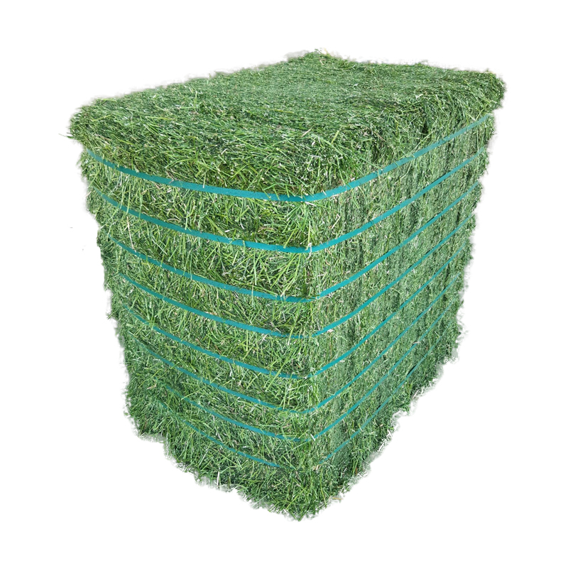 TIMOTHY/ALFAFA HAY IN BALES FOR SALE Best Price