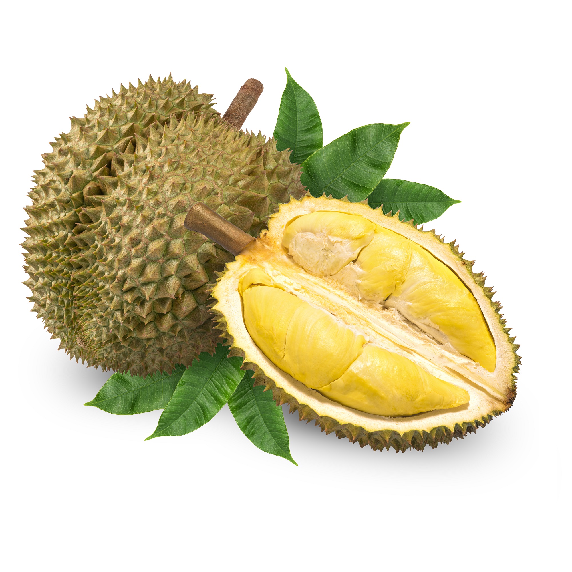 Оптовая цена-Премиум IQF MONTHONG/ RI6 DURIAN, урожай из Вьетнама/мисс Триш + 84 984 696 874 (WHATSAPP)