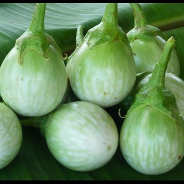 AYAME, тайские баклажаны, свежие овощи из Таиланда