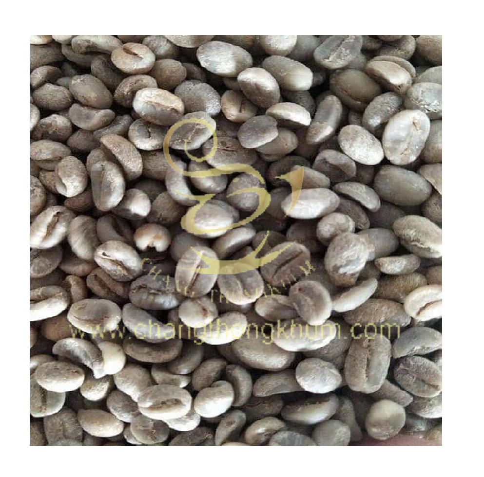 Arabica Green Coffee Beans the Best Premium Quality Product from Thailand by Changthongkhum