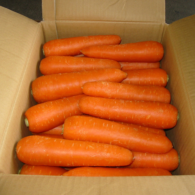 Свежая морковка для продажи, 2019 мешков, красная сетка, овощи Shandong
