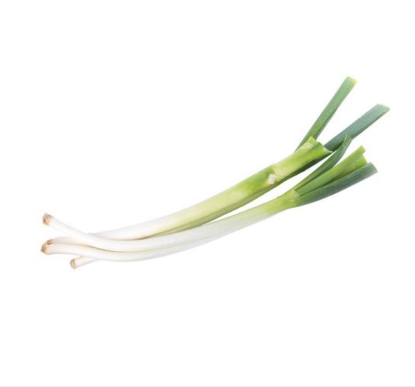 wholesale dried scallions with best price