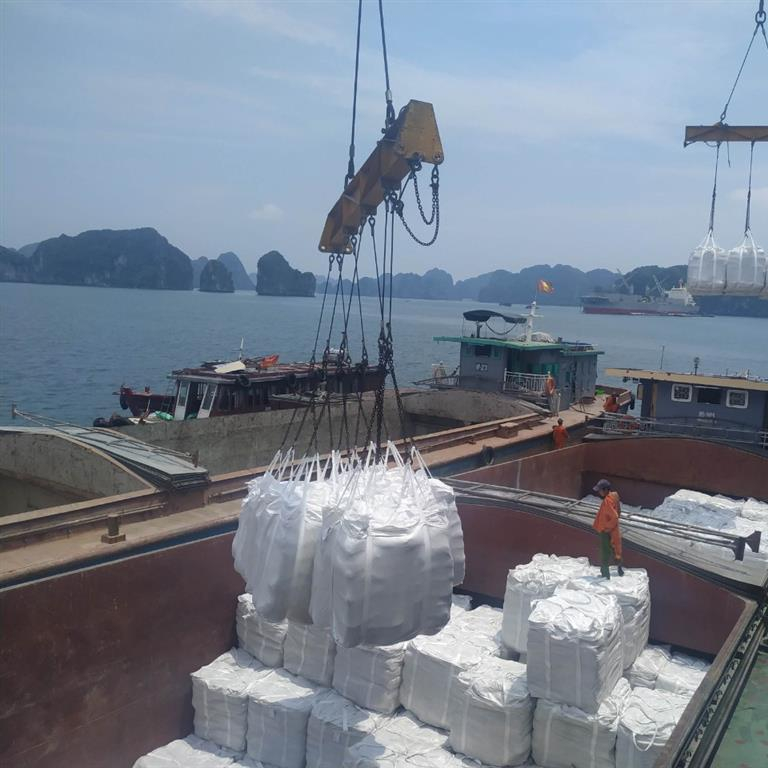 Vietnam cement OPC CEM I price