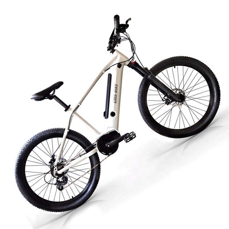 Hot sale 7 Speed fashion 26 inch Electric bike bicycle sport Electrical Bicycle/ Racing 36V 250W Bike for Adults