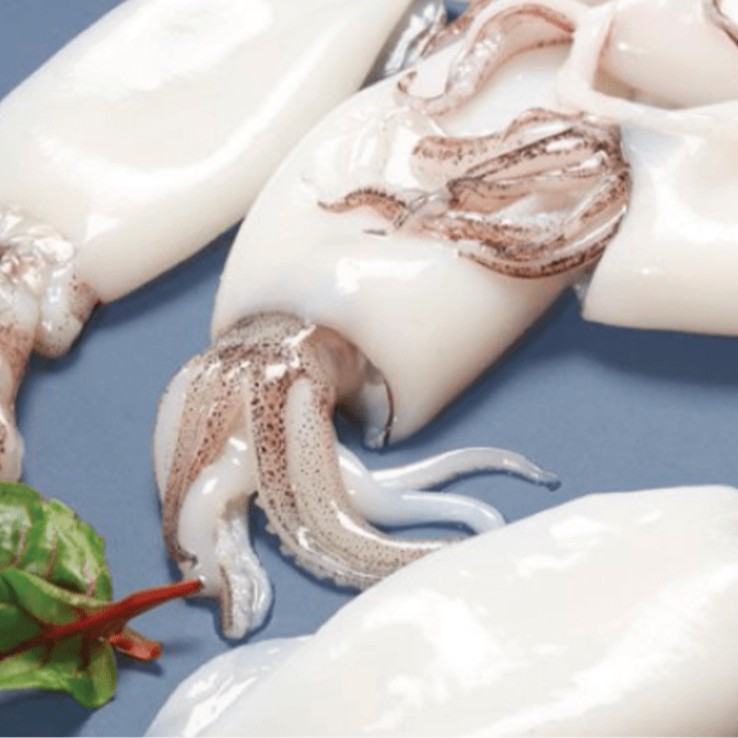 Высокое качество замороженные морепродукты гигантская кальмарная трубка