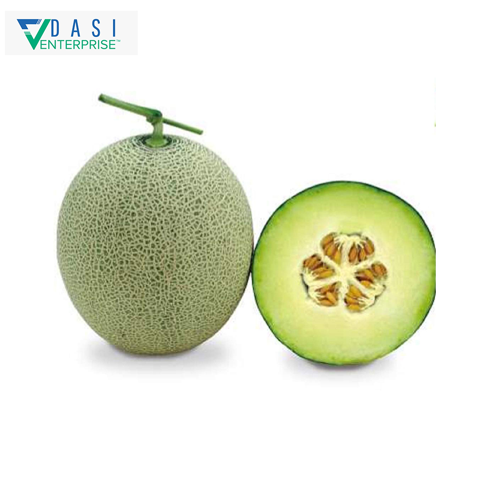 Online Selling Bulk Distributor Of Fresh Natural Muskmelon For Anytime Eatable In Best Price