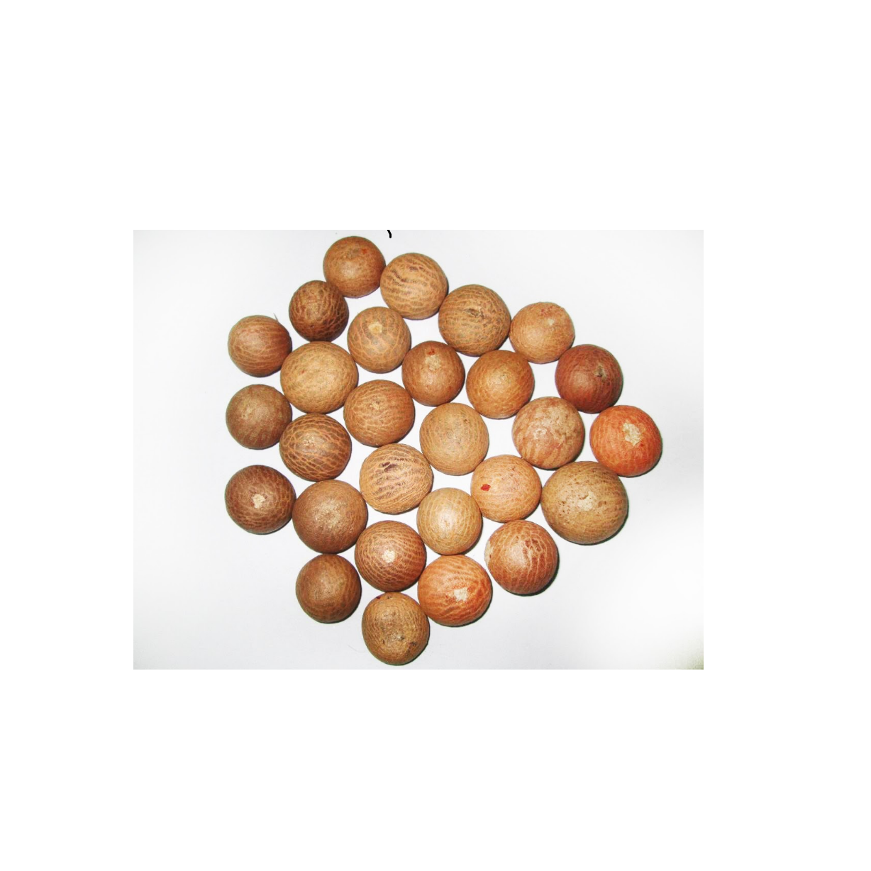 Стандартное качество, Betel Nuts100 % Чистый Натуральный Необработанный органический бестел, бестселлер из Индонезии, экспорт