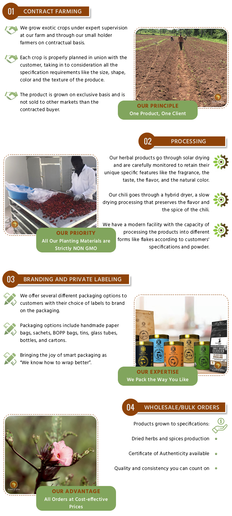 Best Quality Dried Africa Bird Eye Red Chilli from Trusted Supplier