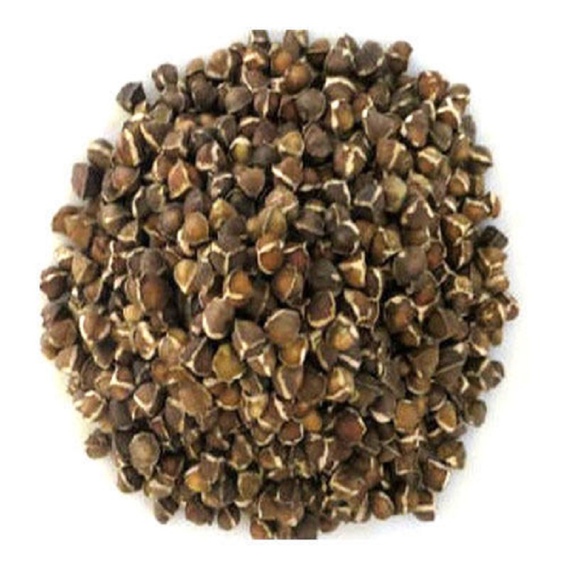 Black Moringa Seeds for Sale - Yes Organic and Natural