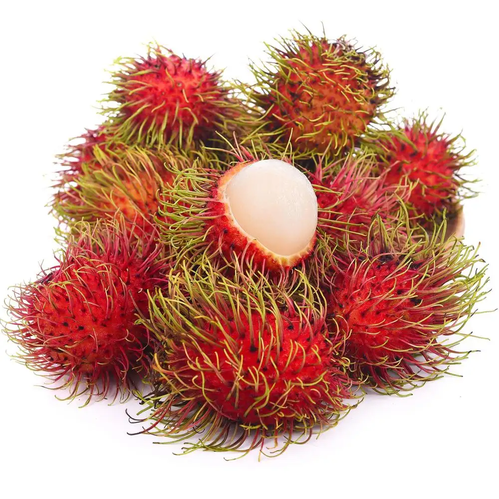 Hot Selling In 2021 Rambutan 100% Fresh Fruit Best Price Wholesale Cheap Price