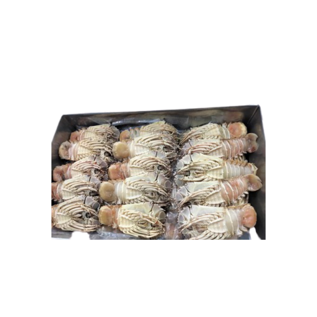 Замороженные тапочки, премиум-продукт, Омар, песчаный Омар