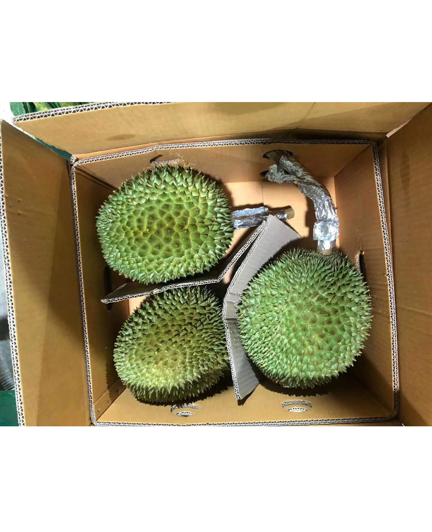 Vietnam Fresh Durian Premium Quality No Preservative Special Taste 100% Natural Fresh Whole Durian
