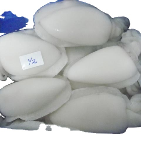 Indian Origin Frozen Cuttlefish Whole Cleaned