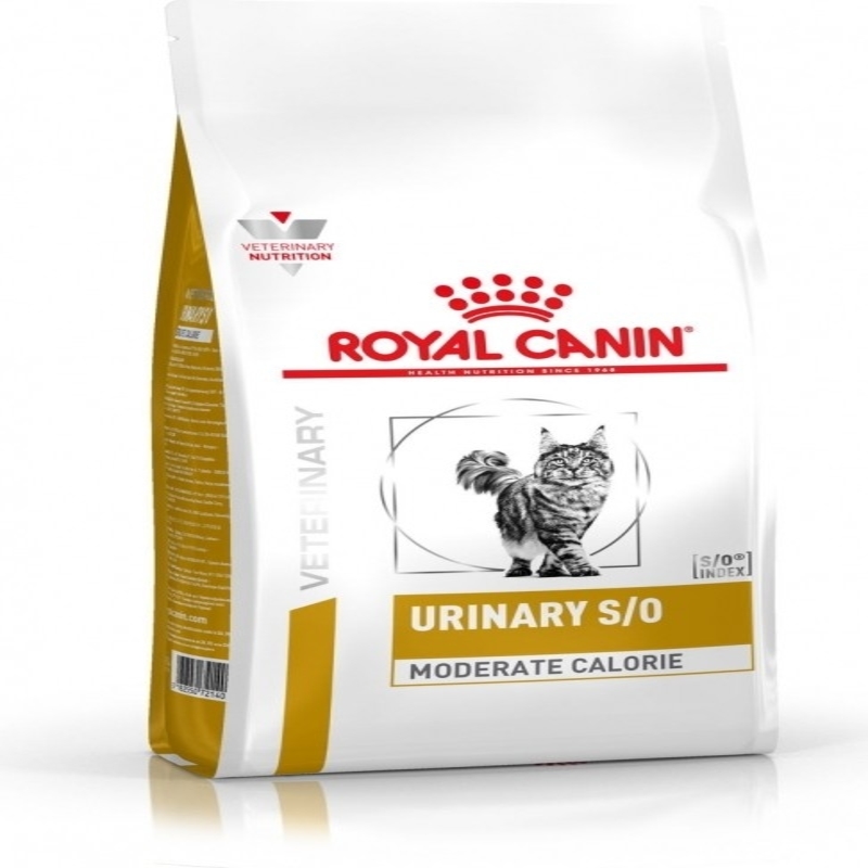 Корм для взрослых собак Royal Canin Maxi хорошего качества