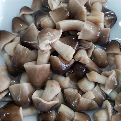 MUSHROOM EXPORT / STRAW MUSHROOM