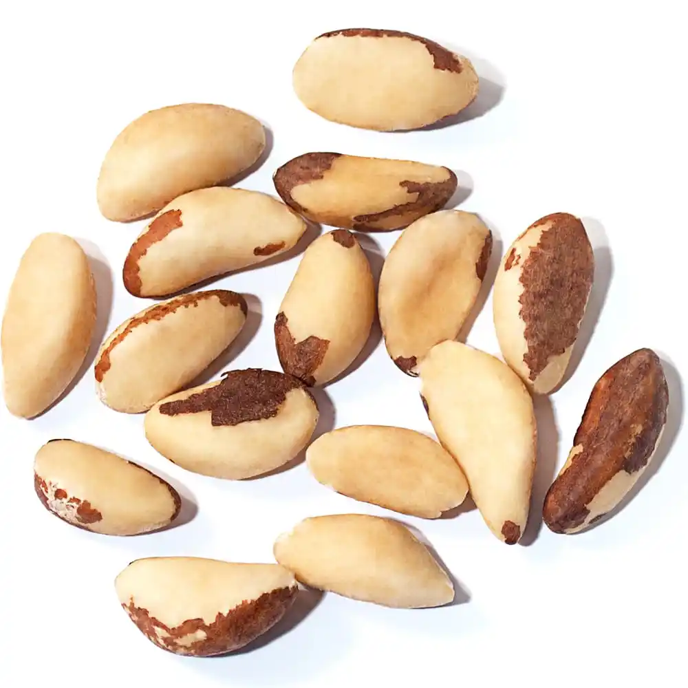 Wholesale Raw Organic Brazil Nuts for sale