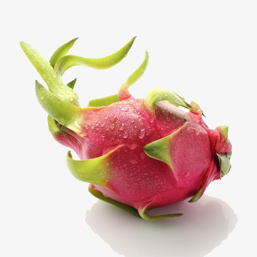 Премиум качество продукта DRAGON FRUIT