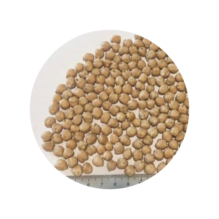 Chickpeas