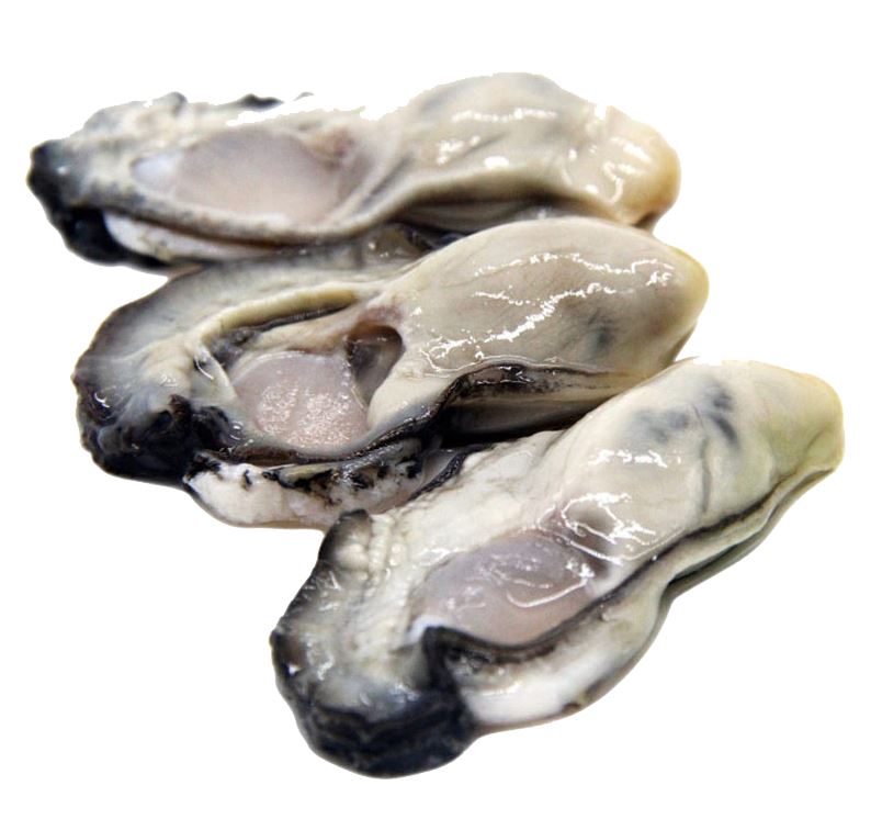 Оптовая продажа, замороженные морепродукты Oysters, свежие целые оболочки, хорошие устрицы, Мгновенная доставка