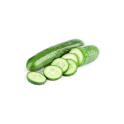 Top Grade Fresh Cucumber Fresh Cucumbers Fresh Cucumber For Sale