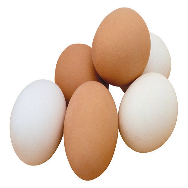 Round Table Eggs for Sale / fertile hatching eggs