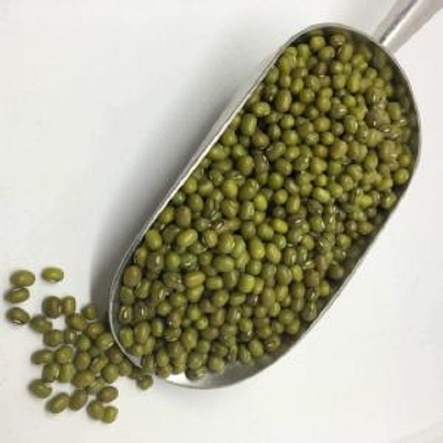 Зеленые фасоли Мунг бобы мунг из Мьянмы конкурентоспособная цена строгий контроль качества хорошая упаковка и быстрая доставка