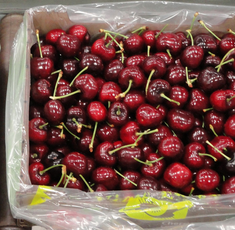 Fresh Sweert Healthy Fruit Benefits Cherries