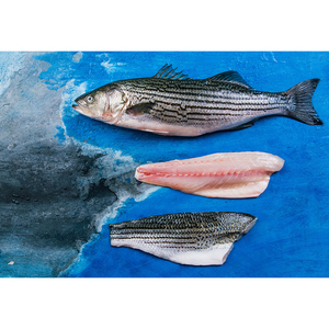 Вкусное здоровое морское питание, высококачественное сосудистое филе для аквакультуры, полосатая басовая филе, кожа на ожогах, PBO 24-36 унций.