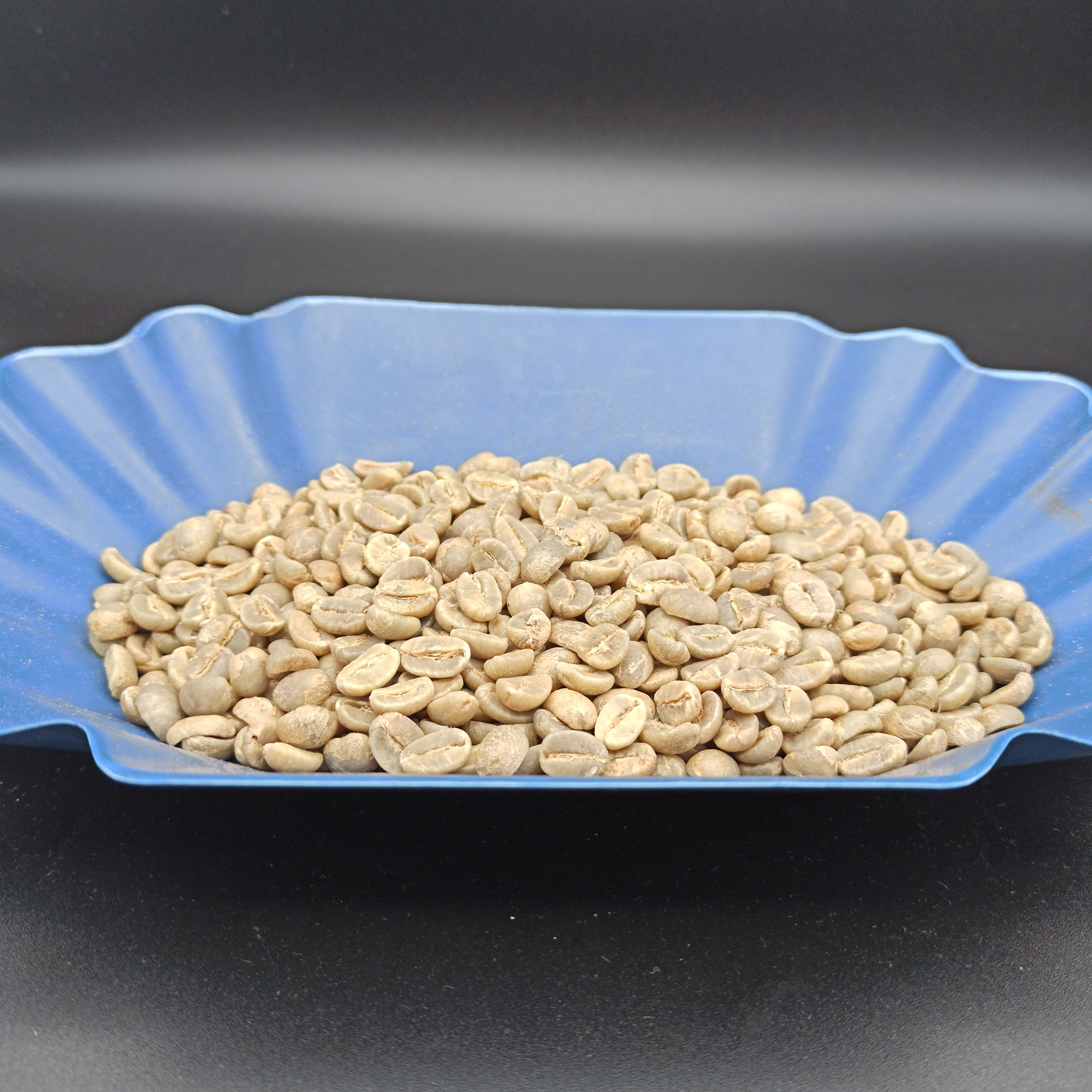 EthioCo ГмбХ (Ltd) - Jamaica Blue Mountain Grade 1 | 17/18 - Green Raw Fair Coffee