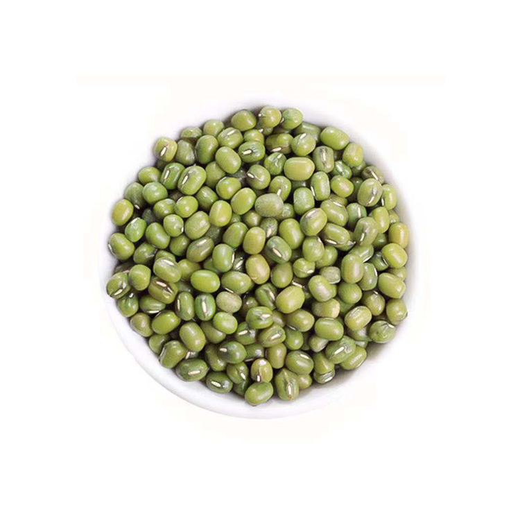 Wholesale Dealer of Top Selling Organic Fresh Green Mung Beans from India