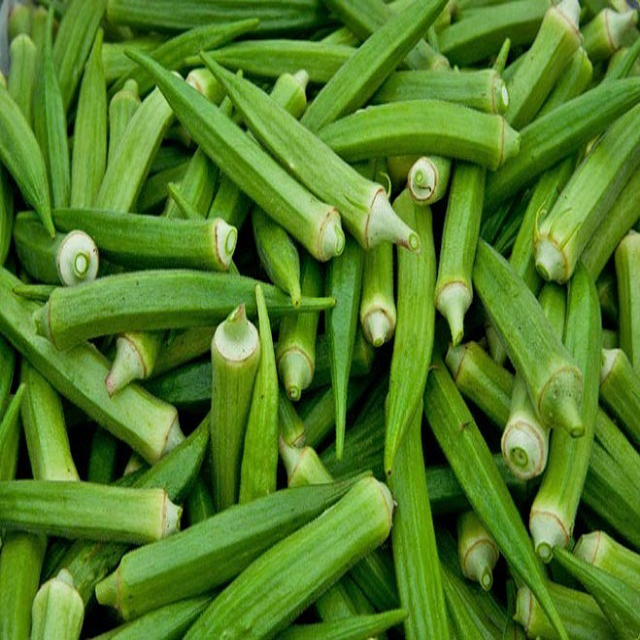 Свежие овощи Okra экспорт в Индию/What's app no:+ 91 9626995222