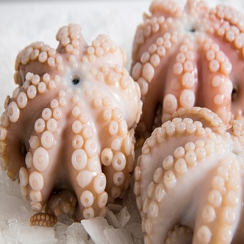 high graded Best Grade Octopus