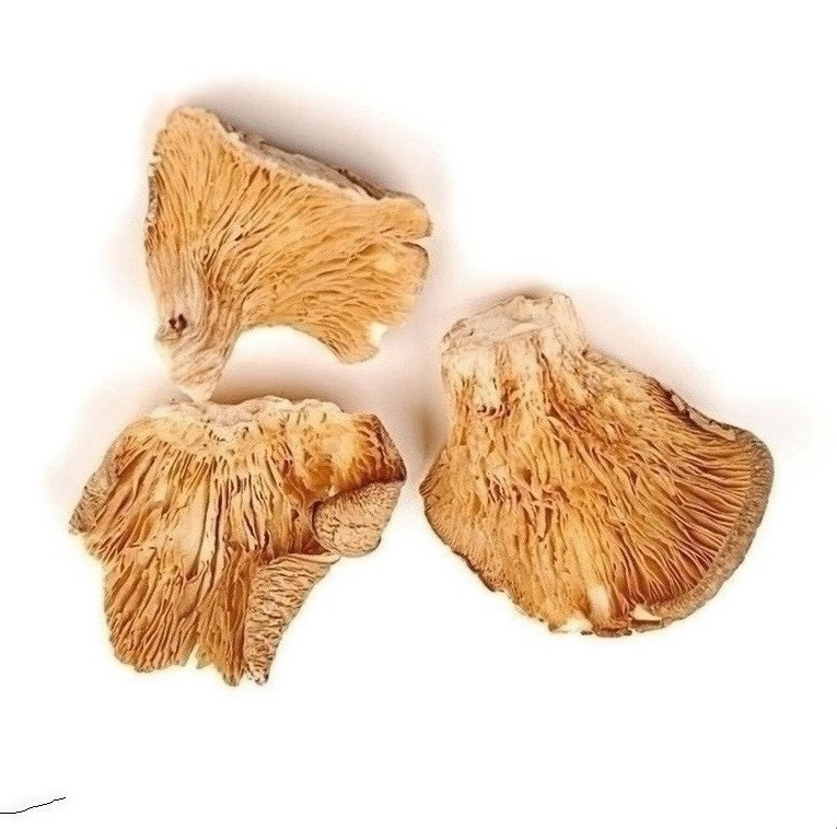 Mushrooms :Sushi Ingredients Cooked