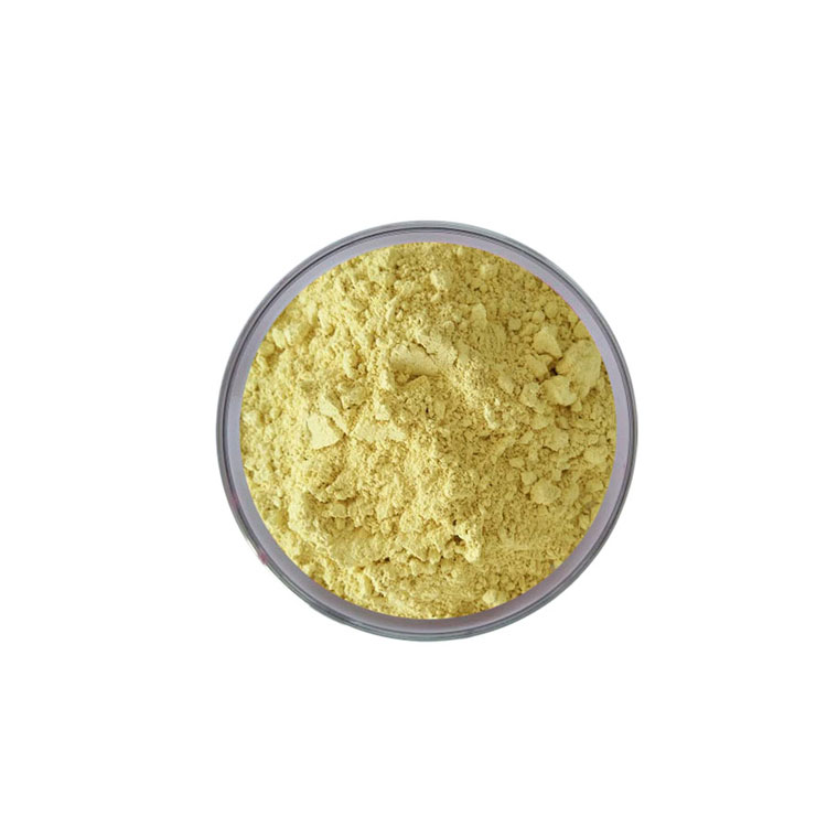 Wholesale Dealer of Best Selling Yellow Color Egg Powder from South Africa