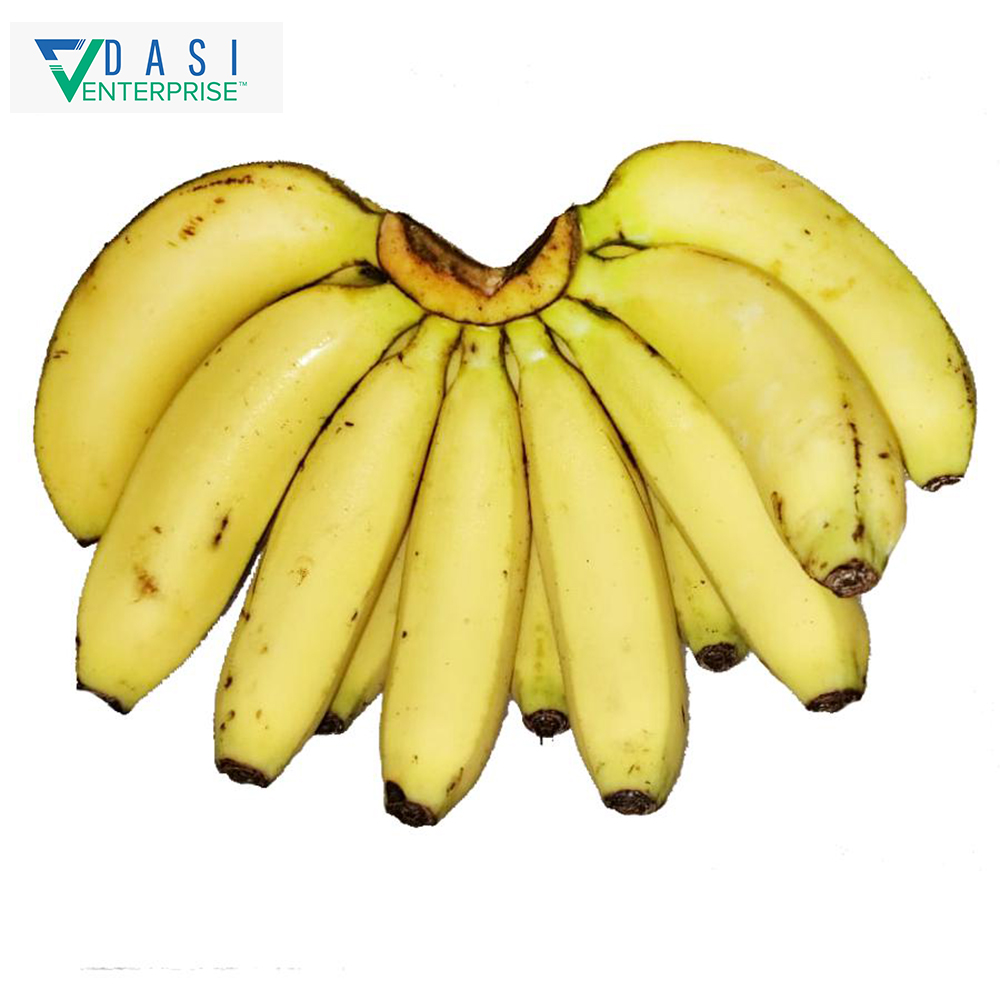 South Africa's Origin Bulk Exporter Of Fresh Yellow Cavendish Banana Of Sweet Soft Taste At Reasonable Price