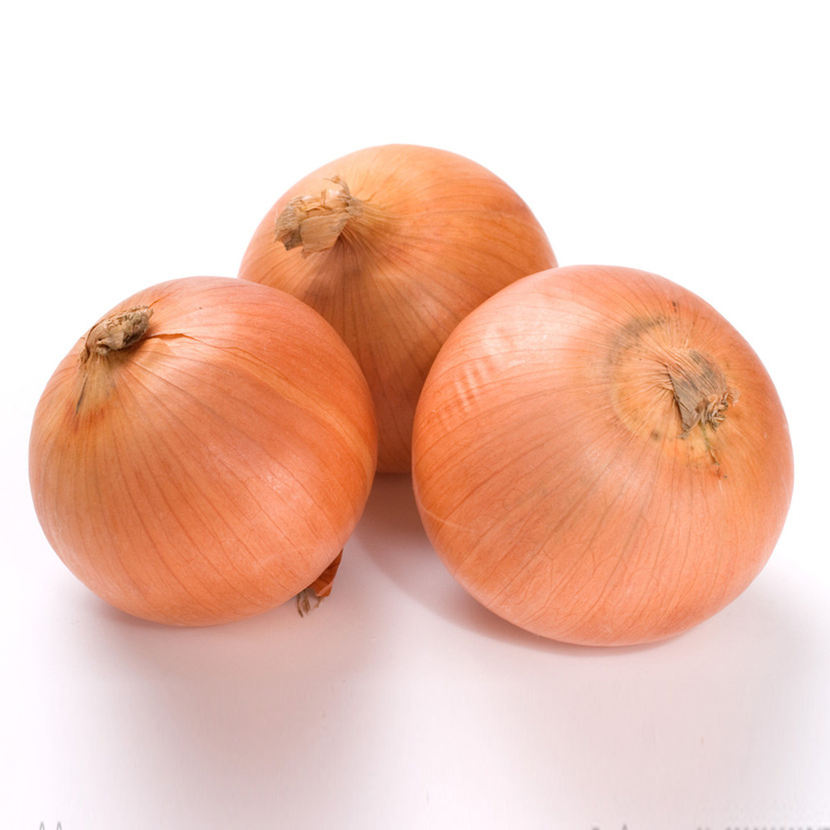 Onion Price 1KG For Malaysia, Fresh Onion Prices, Onions In Bulk