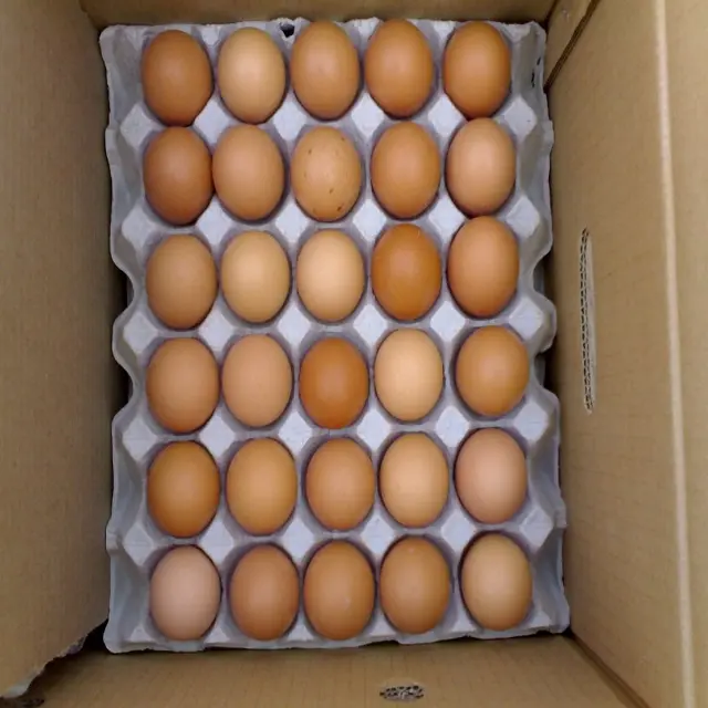 Оптовая продажа свежих куриных яиц на ферме