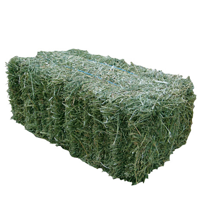 High Quality Austria Animal Feed Alfalfa Hay