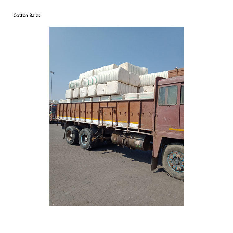 Reputed Supplier of Best Selling 8% Moisture Pure Organic Cotton Bales from India