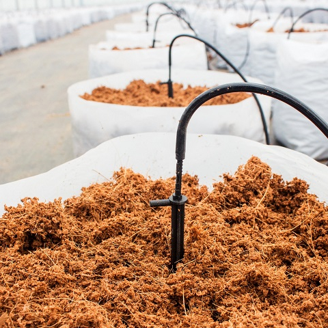 Cocopeat Supplier - Cocopeat Manufacturer Indonesia