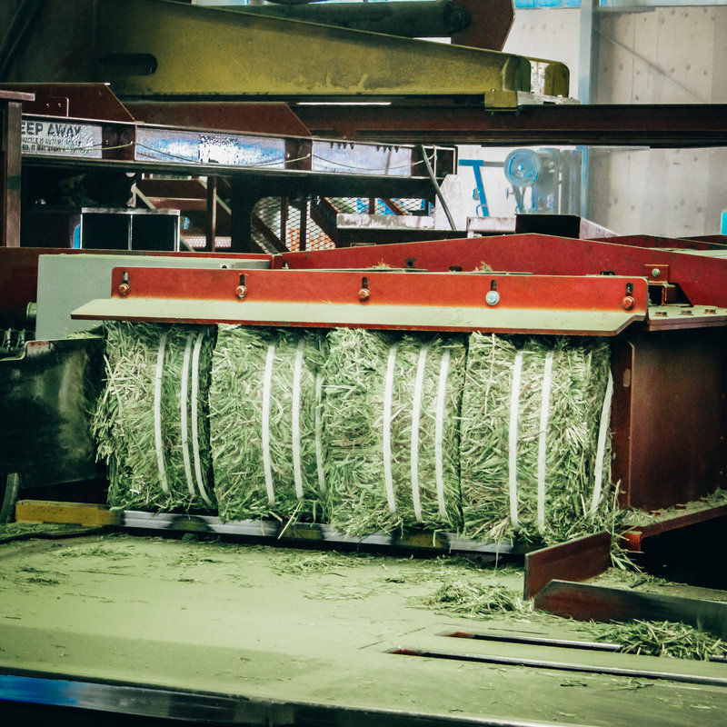Cheap Alfalfa Hay For Animal Feeding for Sale