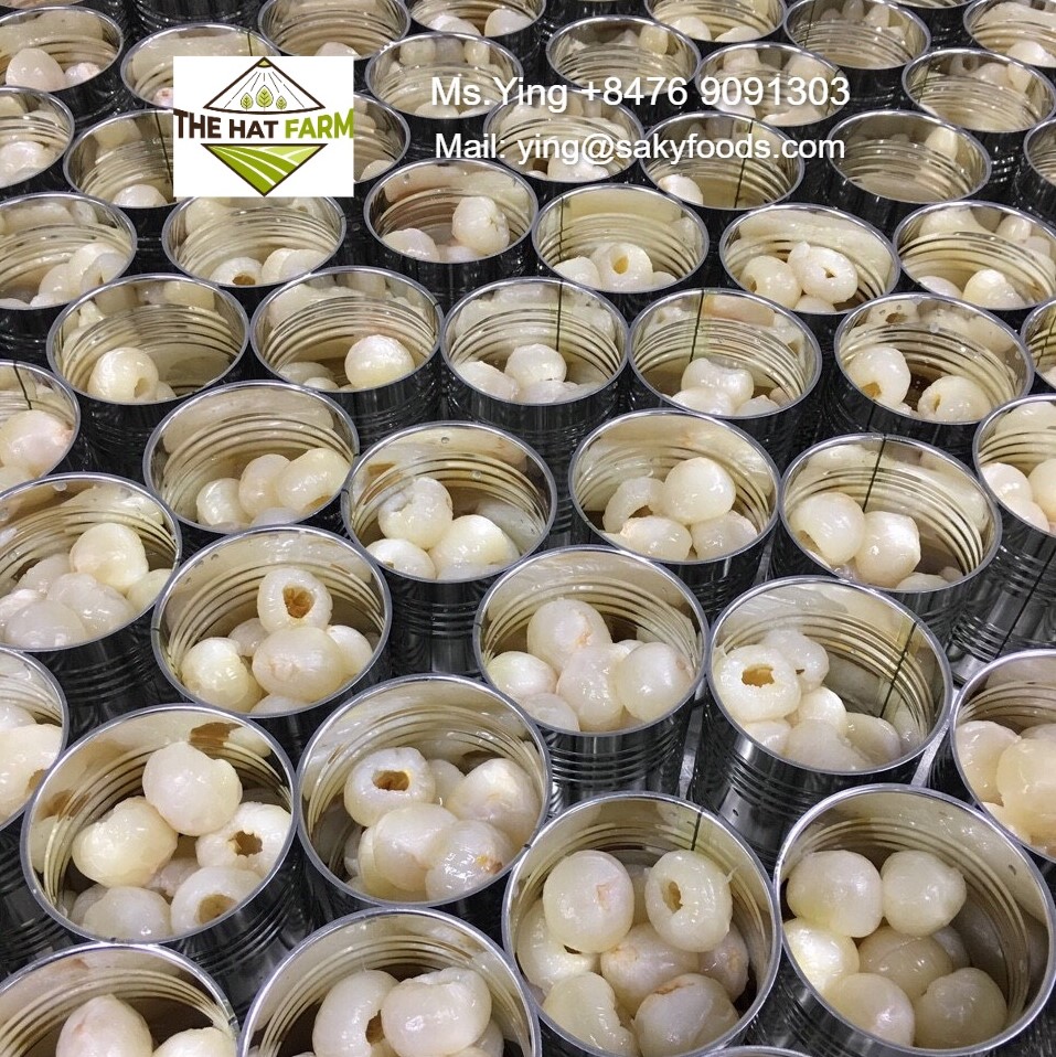 Консервированный Личи-горячие продажи из Вьетнама