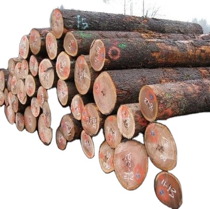 Eucalyptus timber logs and sawn timber