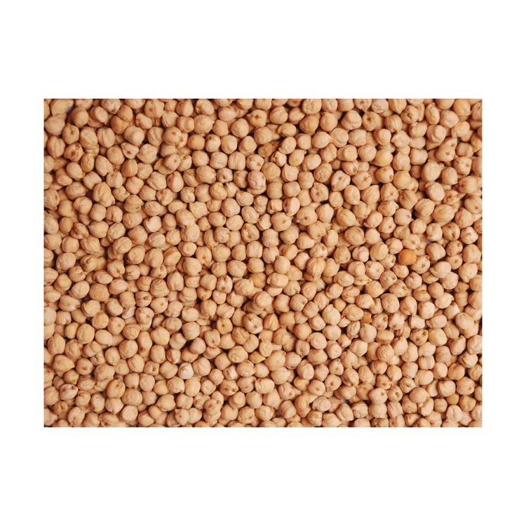 Great quality chickpeas in bulk, chickpea