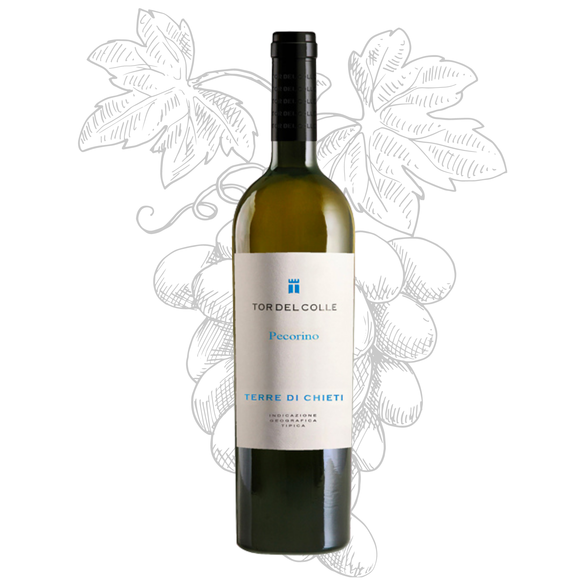 Premium Made in Italy White Wine - Pecorino Terre di Chieti IGT - White Table Wine bottles 750 ml alcohol 13% for export