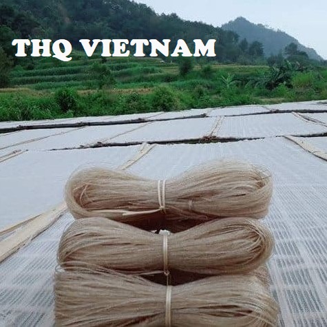 Вьетнамская стеклянная лапша [THQ VIETNAM]/лапша из красного стекла-Лучшая цена